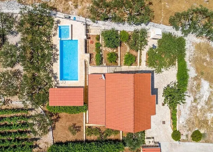 Jelena * Dračevica