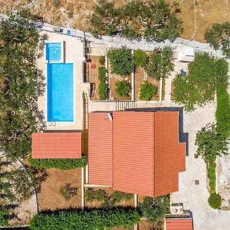 Jelena * Dračevica